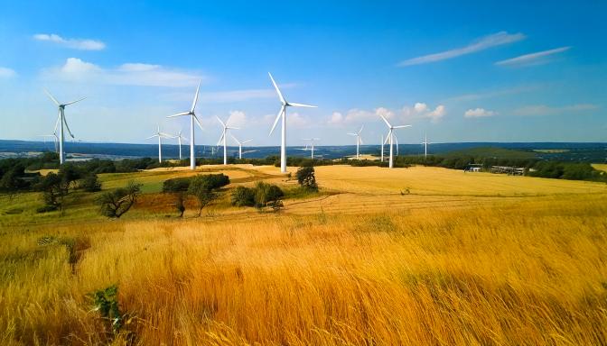 Row of white wind turbines spread across a golden field under a blue sky with scattered clouds