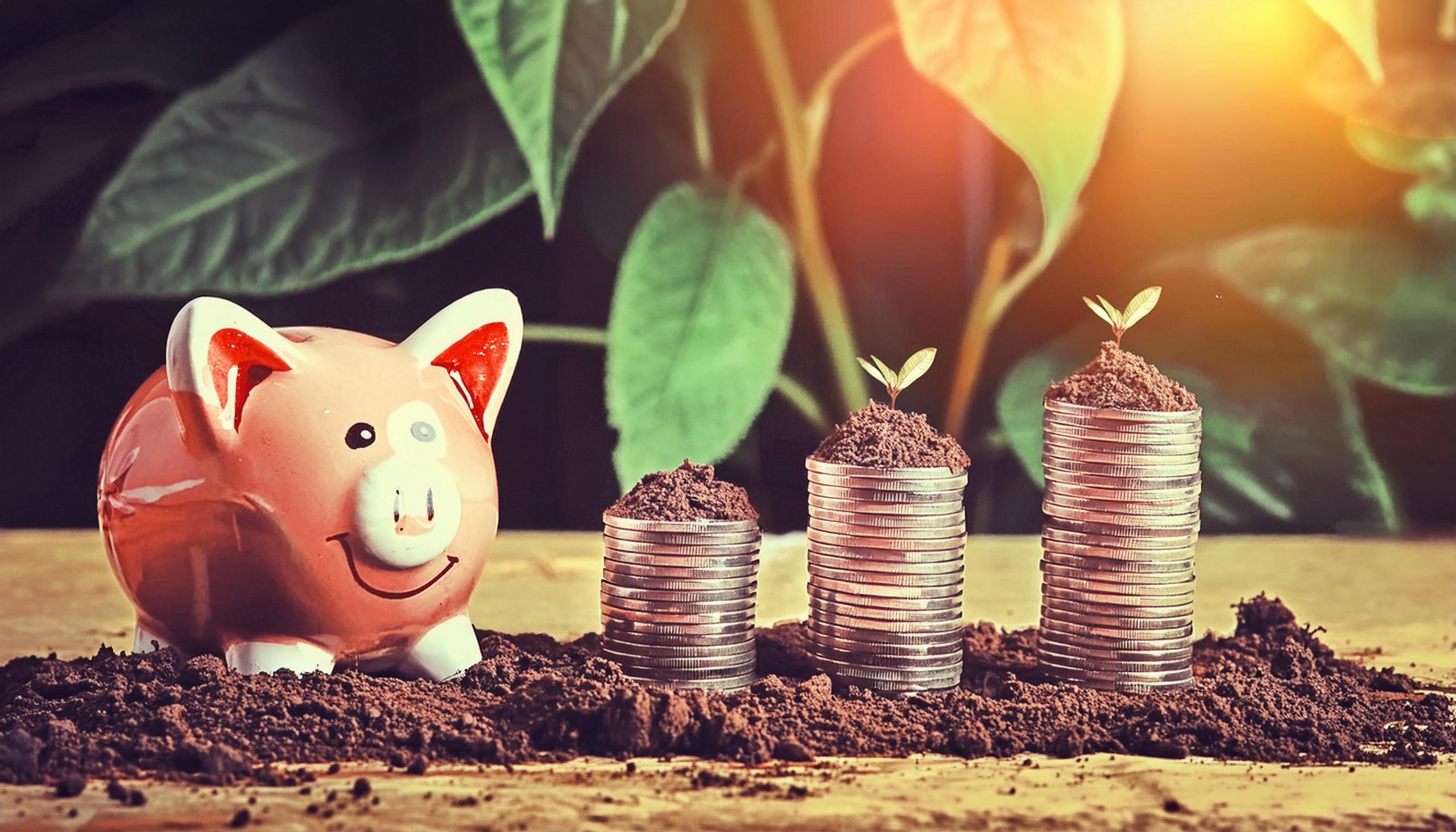 A pink piggy bank beside three rising stacks of coins topped with soil and sprouting seedlings, with plants behind